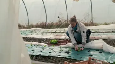 La Chartreuse et le Grésivaudan