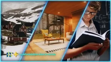 La déforestation dans le monde