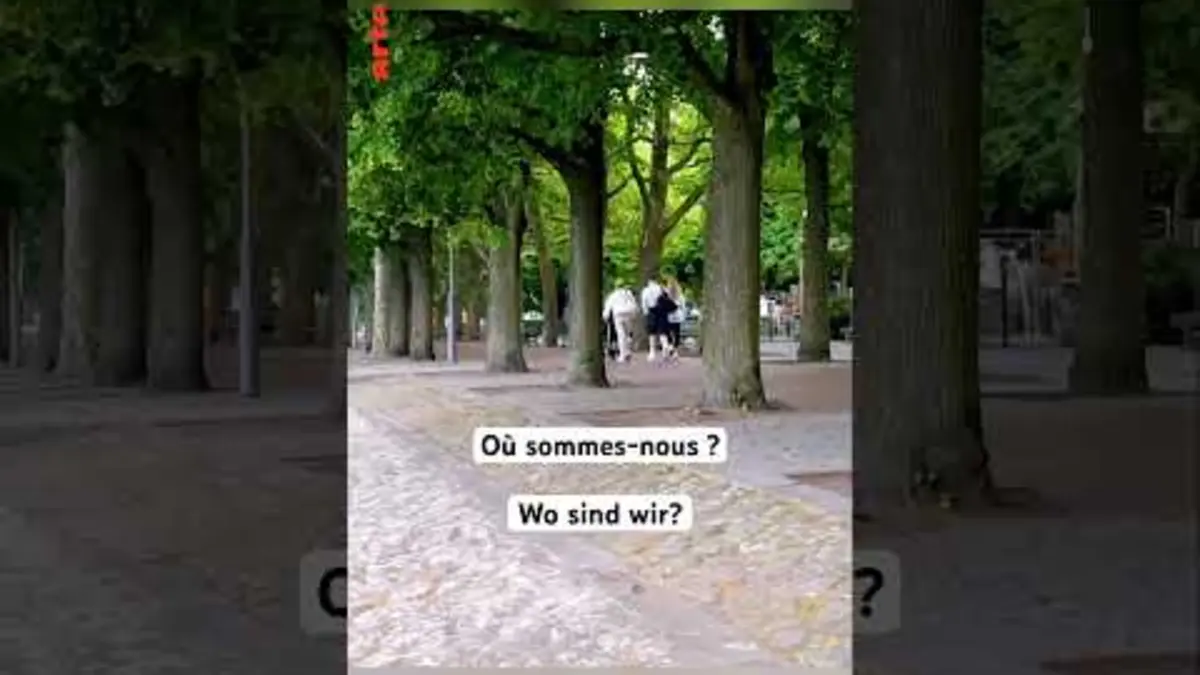 replay de La devinette du 6 octobre 2024, avez-vous trouvé l‘indice ? #karambolage #arte