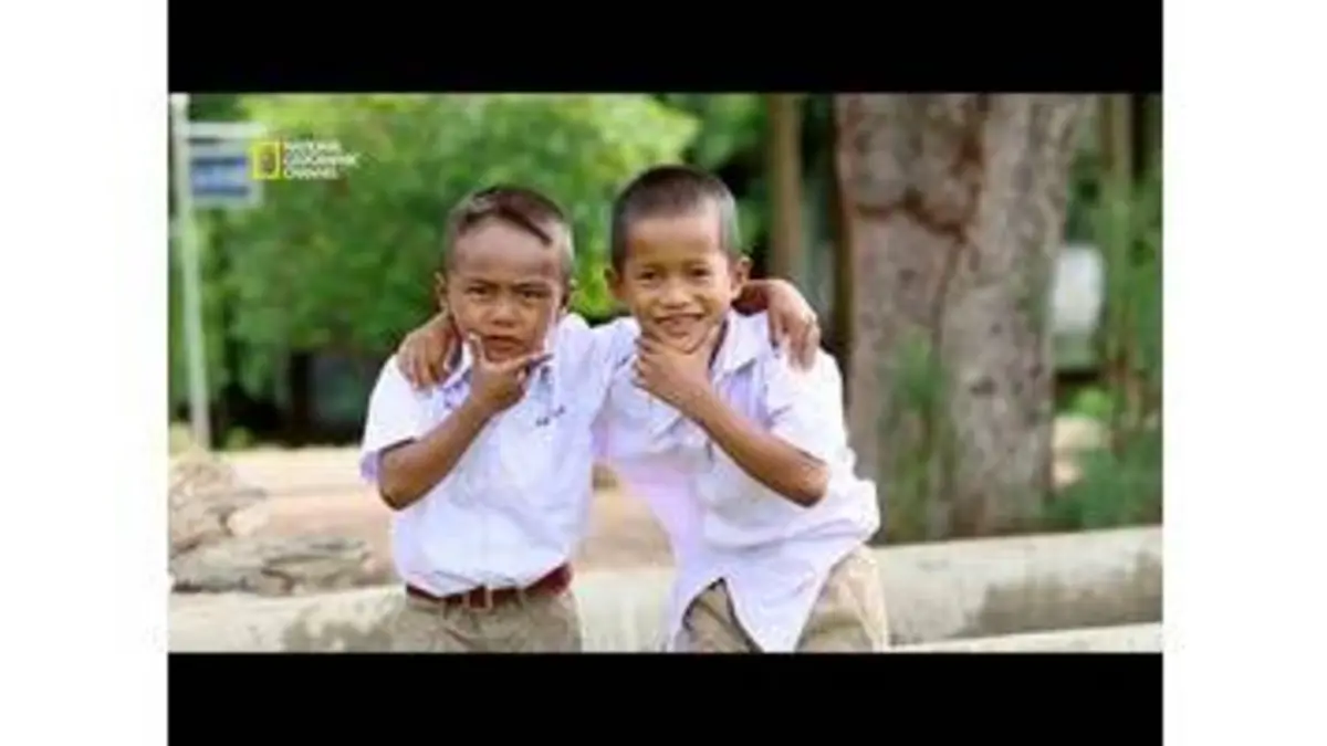 replay de La formule de la compassion