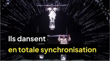 La France a un incroyable talent : Ils dansent en totale synchronisation
