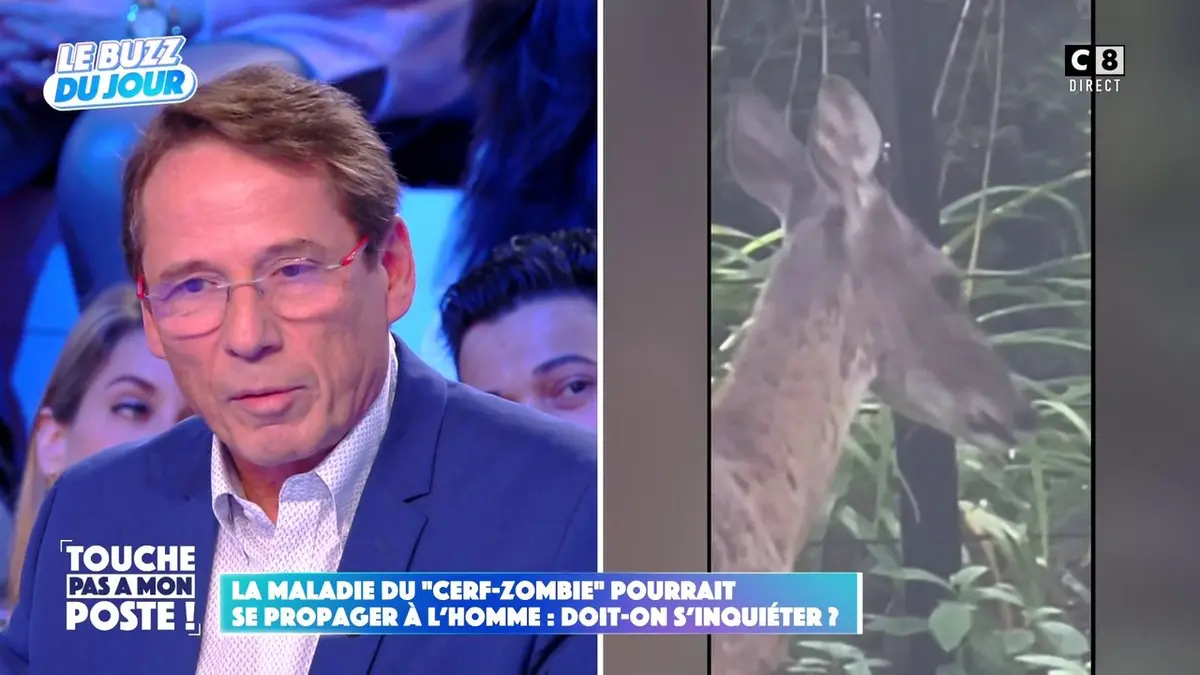 replay de La maladie du "cerf-zombie" pourrait se propager à l'homme : Doit-on s'inquiéter ?