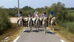 La manade et les marais