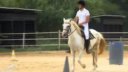 Au galop ! La mania chrono