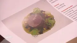 La meilleure boulangerie de France : J4 : Île-de-France