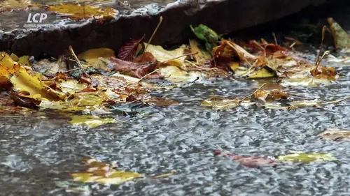 replay de La mémoire pour sépulture