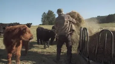La Montagne limousine