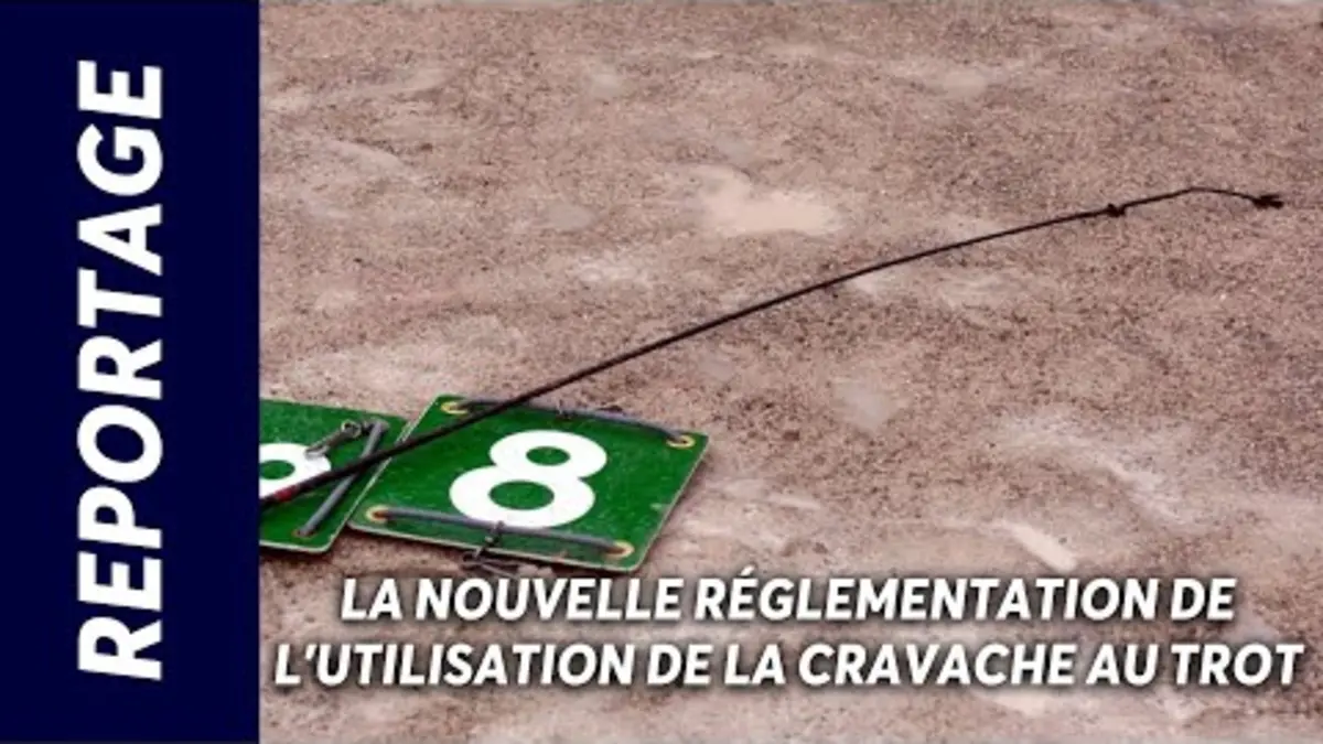 replay de LA NOUVELLE RÉGLEMENTATION DE L'UTILISATION DE LA CRAVACHE AU TROT