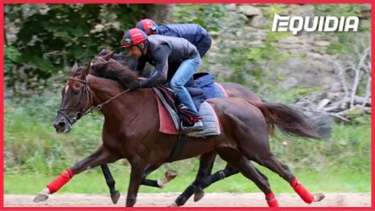 replay de LA PARISIENNE LANCE SA SAISON