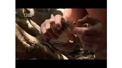 La pêche aux piranhas