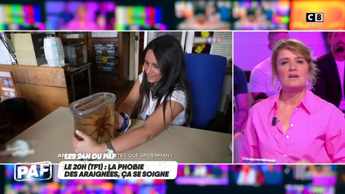 replay de La phobie des araignées... ça se soigne !