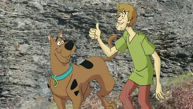 La pollution des sols