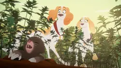 La Puce à l'Oreille