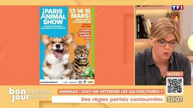 La question du jour : Animaux de compagnie, doit-on interdire les salons ?