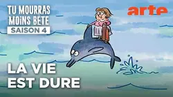 La recherche, un travail de fourmi | Tu mourras moins bête | ARTE
