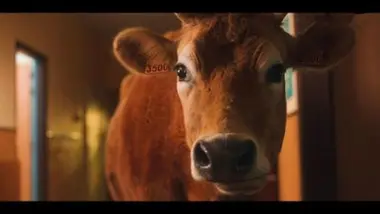 La rentrée au lycée agricole (extrait)