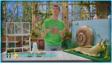 La reproduction hermaphrodite