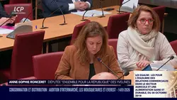 La séance est ouverte ! - Consommation et commerce : audition d'Intermarché, Les Mousquetaires et Everest - 14/01/2026