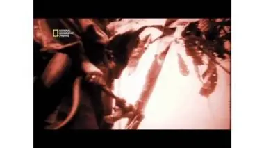 La seconde guerre mondiale, Guadalcanal