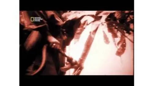 replay de La seconde guerre mondiale, Guadalcanal