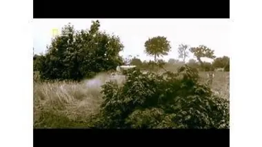 La seconde guerre mondiale, Le bocage normand