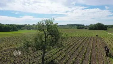 La Sologne, l'écrin aux 3 000 étangs