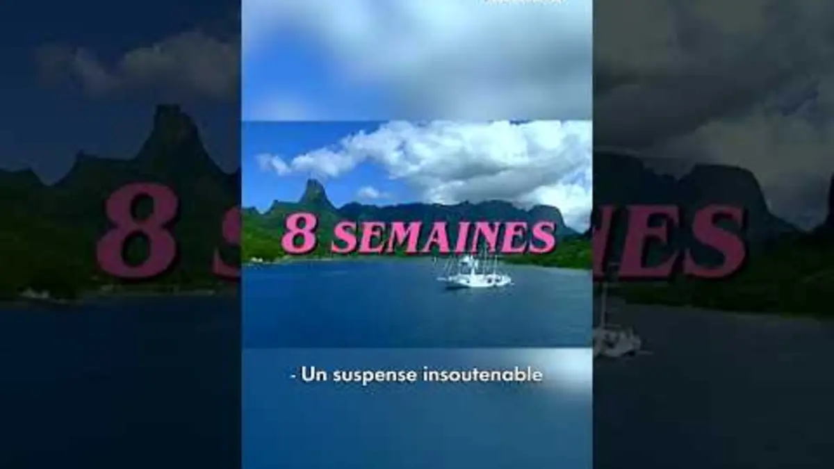 replay de La télé-réalité à ne pas manquer cet été ! #Humour #Shorts #LesGuignols