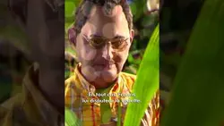 "La télé-réalité va encore plus loin !" #Humour #LesGuignols #Shorts