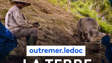 La terre en héritage