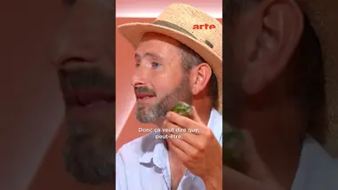 La tomate est-elle en danger ?