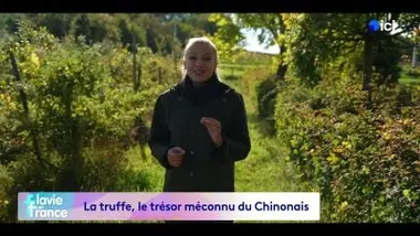 La truffe, trésor méconnu du Chinonais !