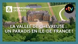 La vallée de Chevreuse : un paradis en Île-de-France ! - Des racines et des ailes