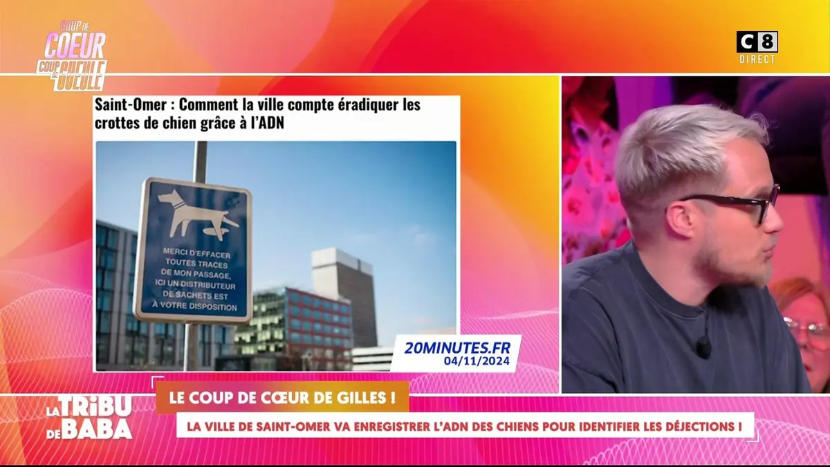 replay de La ville de Saint-Omer va enregistrer l'ADN des chiens pour identifier les déjections