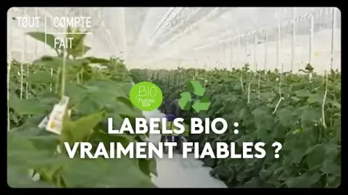 replay de Labels bio : vraiment fiables ?