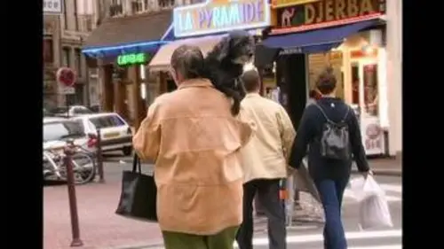 replay de Lafesse refait le trottoir : T'EN AS !