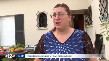 Le 1245 du 05/08/2026