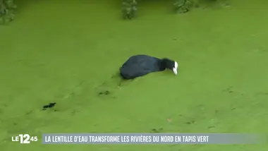 Le 1245 du 17/08/2026