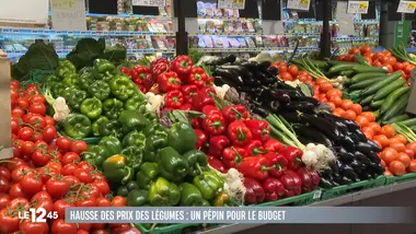 Le 1245 du 23/07/2026