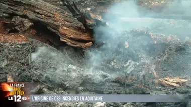 Le 1245 du 24/07/2026