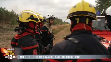 Le 1245 du 25/07/2026