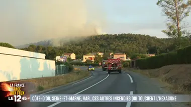 Le 1245 du 30/07/2026