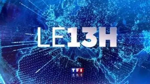 replay de Le 13 heures du 30 novembre 2013
