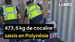Le 1945 : 473,5 kg de cocaïne saisis en Polynésie française