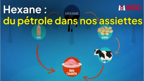 replay de Le 1945 : Hexane : du pétrole dans nos aliments ?