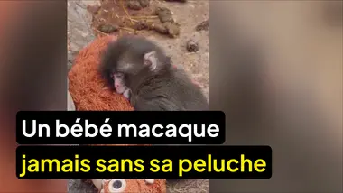 Le 1945 : L’actu des réseaux