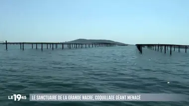 Le 1945 : Le JT du 13/08/2026