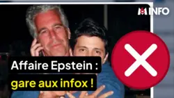 Le 1945 : Les nombreux détournements dans l'affaire Epstein