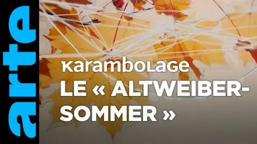 replay de Le « Altweibersommer » - Karambolage - ARTE