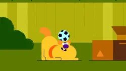 Le ballon de foot