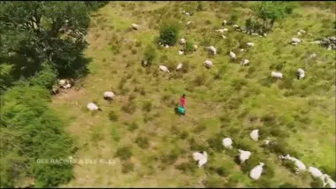 Le berger de Fontainebleau